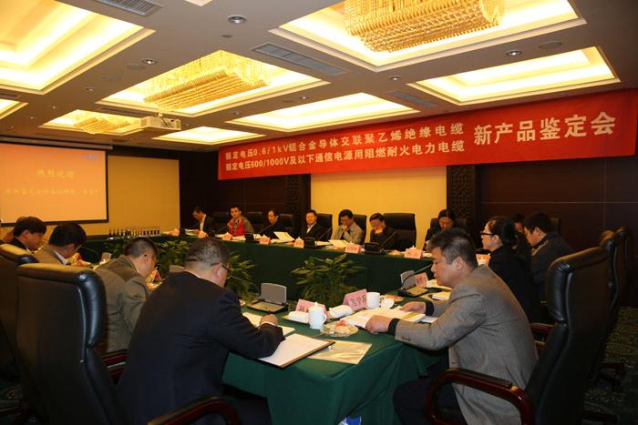 中国·Bb艾弗森(ballbet贝博)有限公司-官方网站